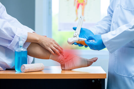 Close-up Hand Wear Medical Gloves Doctor In Medical Gloves Holds Artificial Boneof The Foot And Examines A Sore Ankle In Clinic, Concept Of Medical Orthopedic Treatment