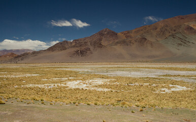 The Andes mountain range. Panorama view of the brown mountains, yellow grass and valley, under a deep blue sky in San Francisco Pass, Catamarca, Argentina. 