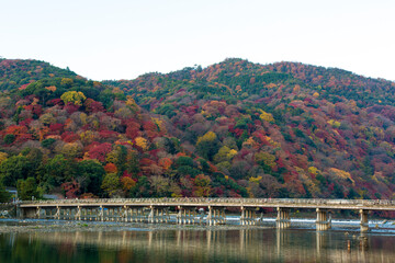Fototapeta na wymiar 京都嵐山の秋