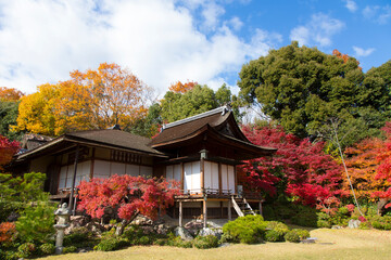 秋の京都大河内山荘