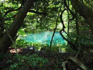 エメラルドグリーンの池