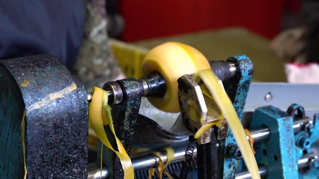 Woman worker using peeling machine to peel persimmon for making dried persimmon preserved food.