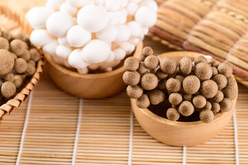 Fresh brown and white Shimeji mushroom in a bowl, Asian mushroom
