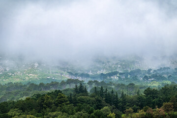 Fototapeta premium High mountains with forested slopes and peaks hidden in the clouds.