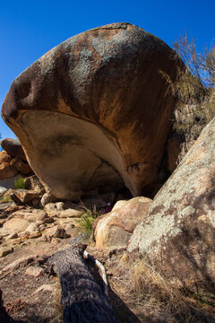 Portrait view of "Hippo's Yawn"  - Wave Rock, Western Australia