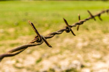 rusty barbed wire