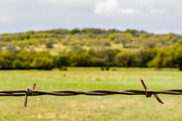 barbed wire fence in field
