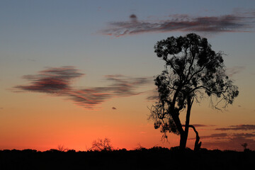 Fototapeta na wymiar Outback sunset, Australia
