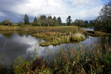 Fototapeta premium Netul Landing at Fort Clatsop National Park in Oregon