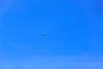 ラジコン飛行機