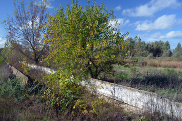 Broken concrete.Abandoned huge Soviet milk farm remains. Kiev Region