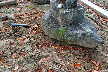 イノシシに荒らされた墓地