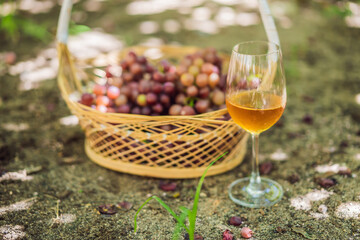 Basket of grapes and glass of wine