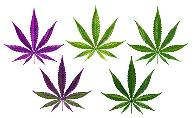 Cannabis realistic set