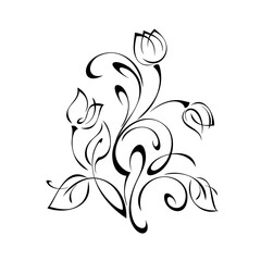 ornament 1357. decorative element with stylized flower buds, leaves and curls in black lines on a white background