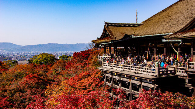 清水の舞台 Images – Browse 703 Stock Photos, Vectors, and