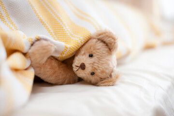 布団から顔を出すテディベア