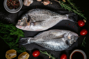 Fresh fish dorado with ingredients for cooking on dark background