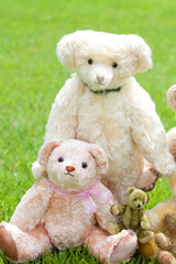 テディベアの家族