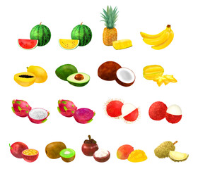 トロピカルフルーツセット