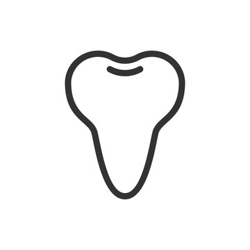 Healthy tooth with one root, cute single vector icon illustration. Line style isolated image