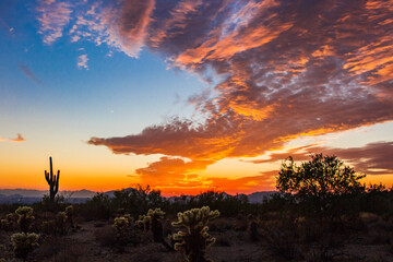 A fiery sunset in the desert in Arizona