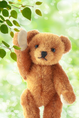 新緑とテディベア