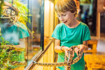 Smiling boy holding python in his hands