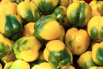 Yellow and green Sweet bell peppers,Colorful natural for backgroud.