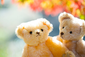 テディベアと紅葉