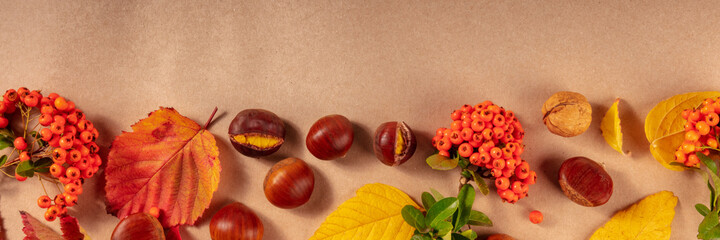 Autumn panorama with copy space. Autumn leaves, chestnuts, and berries, a flatlay on a brown background