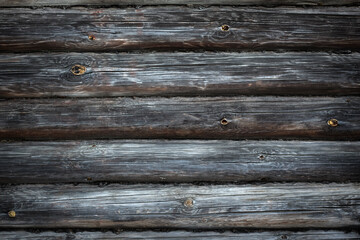 Obraz premium wooden log background, texture of an old log wall