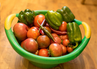 various vegetables harvested from the field and washed, harvest time, vegetable canning, summer