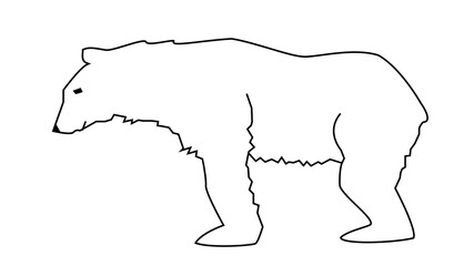 Outline of a polar bear on a white background
