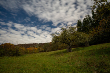 Oberes Donautal im Herbst