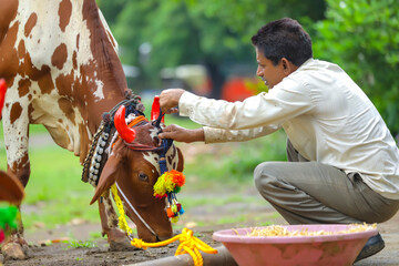 young indian farmer celebrating pola festival