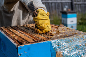 Close up shot of a beehive being opened with a metallic tool by beekeeper.