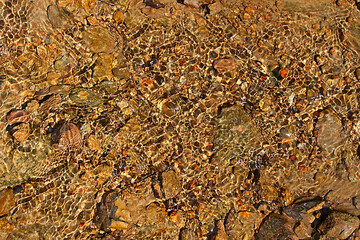Sandy bottom of a forest stream through clear water
