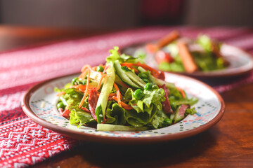 Two plates of green salad with juicy tomatoes, green lettuce, leek, spring and red onion, spices and fresh parsley.