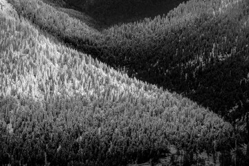 Strong morning light that shines in the morning on the alp mountains that are covered with snow. Black and white