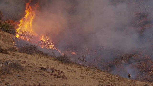 Lone fireman watches flames towering into the air during wildfire burning on mountain during dry season in Utah.