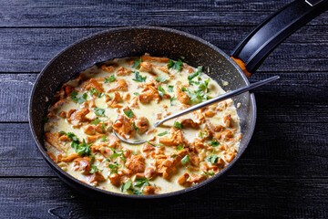 creamy chanterelle sauce in a panhot creamy chanterelle sauce in a pan