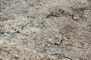 Metamorphic rock . Gneiss surface. Gneissic texture