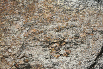 Metamorphic rock . Gneiss surface. Gneissic texture