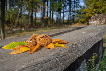 Bodegon de castañas en otoño con hojas sobre una mesa de madera rustica 
