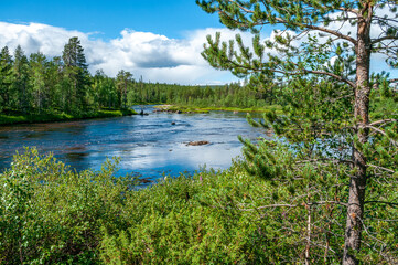 View of the Blue River from the bank through the forest against the background of a beautiful sky