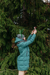 Christmas tree fir branches. Young woman decorating christmas tree outside. Decorative antlers on had. Christmas decorations, candy canes and balls.