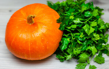 on the wooden table is a ripe ginger pumpkin for cooking, and next to it is a bunch of green parsley. the concept of cooking...
