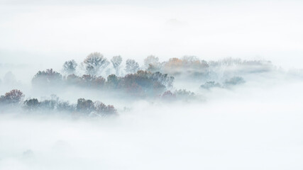 Autumn landscape with fog and trees