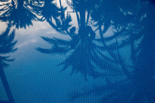 Swimming pool backgrounds. Background texture of beautiful reflection of coconut trees in the blue color swimming pool with tiles under water.